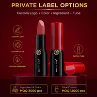 Kit de Rouge à Lèvres Mat Velours Nude Rose Vegan, Waterproof et Couleurs Intenses, Sans Cruauté Animale, Conception Marque Privée, Non-Transfert