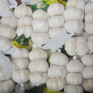 Tỏi tươi hữu cơ chất lượng cao có nguồn gốc trực tiếp từ các nhà sản xuất và xuất khẩu Trung Quốc với giá thấp - Product Image 4