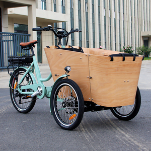 Tricycle électrique familial Bakfiet le plus vendu, <span class=keywords><strong>prix</strong></span> abordable, moteur 250W, cadre en aluminium, 3 roues, vélo de route avec housse de pluie - Product Image 3