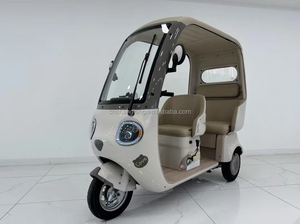 Nouveau moderne alimenté adulte 500w 800w 3 pneus ville trois roues passager vélos électriques Tricycle voiture avec toit