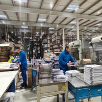 Soporte de Logística para Pico de Temporada en la UE, Capacidad de Almacén Flexible y Servicio de Logística Navideña, Capacidad de Logística Adicional