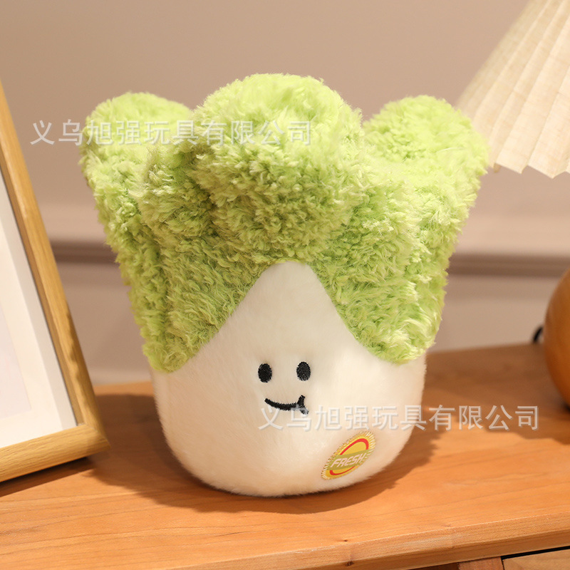 22cm-chinese cabbage