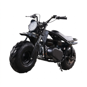 Mini moto tout-terrain à essence de 200 cm3, pneus larges, moto tout-terrain pour adultes, moteur 4 temps, démarrage électrique, modèle <span class=keywords><strong>YTY</strong></span> - Product Image 3