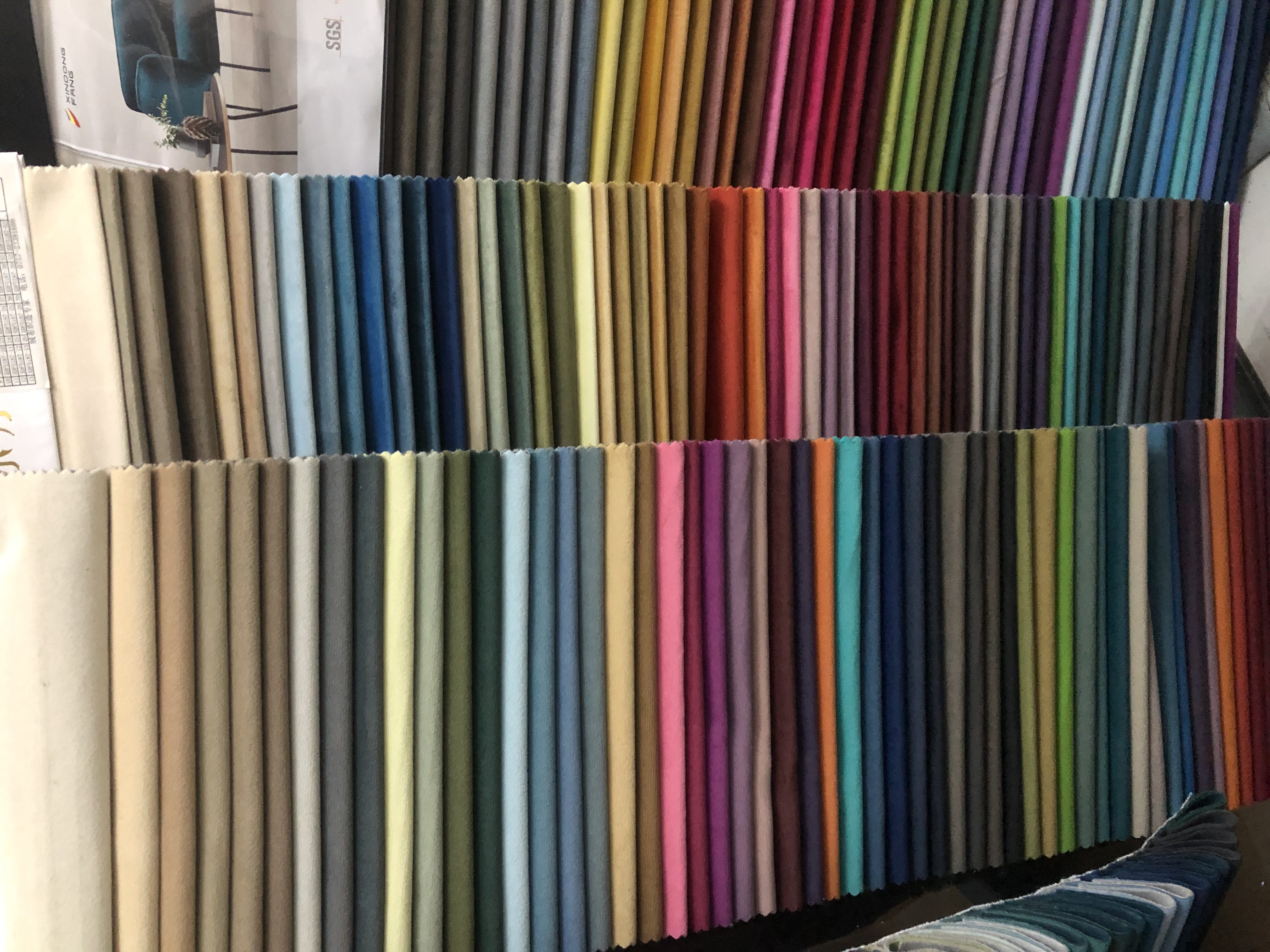 Colore