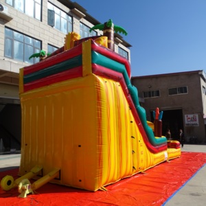 Nhà Máy Trực Tiếp Giá Chủ Đề Thiết Kế PVC Khổng Lồ Kép Làn Đường Trượt Bơm Hơi Combo Nước Hồ Bơi Trượt Bơm Hơi Cho Các Bên - Product Image 6