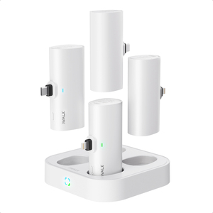 Kit de charge de <span class=keywords><strong>voyage</strong></span> pour <span class=keywords><strong>groupe</strong></span> de 4 batteries externes portables 16000mAh avec étui de rangement Chargez plusieurs téléphones pour le camping, les voyages et les sorties - Product Image 1