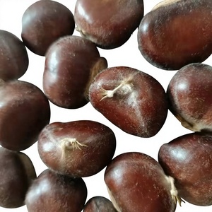 Châtaignes fraîches surgelées, cuites et décortiquées, pour la cuisson, la pâtisserie, les collations, vente en gros, sans gluten, prêtes à l'emploi, qualité supérieure - Product Image 1