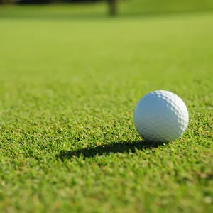 Sunberg 15mm gut benutztes Golf gras High Density Putting Green Kunst gras Golf matte für Minigolf platz