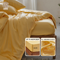 Parure de lit de luxe OEM écologique rafraîchissante 400TC 100% bambou, comprenant taie d'oreiller et housse de couette, style européen-américain pour la maison