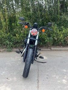 Motocyclettes d'occasion Harley-Davidson 883N 883cc Vert Émeraude Peinture Candy, Cruiser Classique Américain, Belle Couleur, Prix Raisonnable - Product Image 2