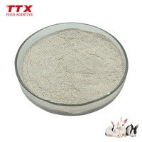 Volaille probiotiques bacillus subtilis poulet probiotique