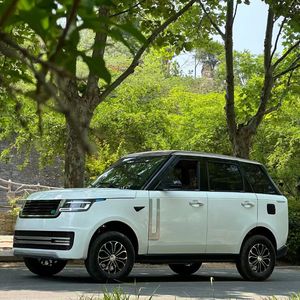 Горячая распродажа: Новинка! Мини-электромобиль для взрослых напрямую с завода - Product Image 3