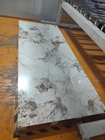Panneau mural d'hôtel en PVC, feuille de marbre UV, design moderne, résistant au feu, surface facile à nettoyer