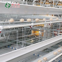 Nouvel équipement automatique de ponte de type H pour poules pondeuses, cages pour élevages avicoles
