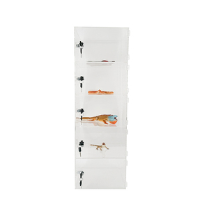 Cages d'écran d'air d'<span class=keywords><strong>habitat</strong></span> de reptiles en métal portatives avec la boîte d'élevage de cage de Reptile de porte et de loquet pour des araignées - Product Image 5