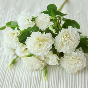 Ramos de Flores de Clavel Artificiales de <span class=keywords><strong>10</strong></span> Cabezas en Oferta, Ramos de Clavel de Seda, Centros de Mesa para Decoración de Bodas - Product Image 2