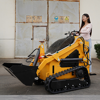 Chinesische Mini-Lader, Teleskop-Lader, Knickgelenk-Radlader, Kleiner 400kg Lader, Kompaktlader
