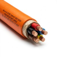 Câble flexible à conducteurs en cuivre NG-A 5 brins, isolé minéral, ignifuge, norme IEC 0,6/1 kV pour l'alimentation électrique des bâtiments