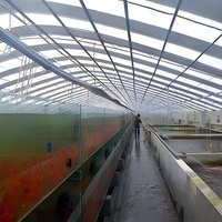 Grande serre agricole monopente mobile pour poulets de chair avec couverture en polycarbonate pour l'élevage avicole