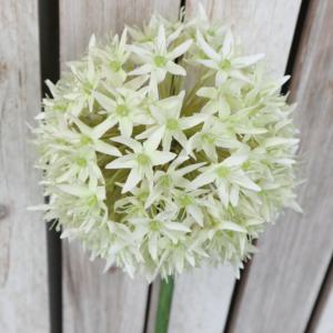 8 pouces de diamètre. Fleurs artificielles géantes d'<span class=keywords><strong>allium</strong></span> pour centre de table de jardin - Product Image 6