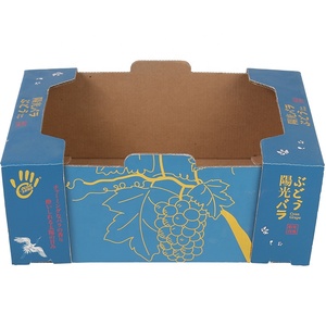 Bán buôn tùy chỉnh thân thiện với môi lớn sóng trái cây & thịt hiển thị thư mục hộp giấy tái chế Thùng giấy Nho dứa - Product Image 3