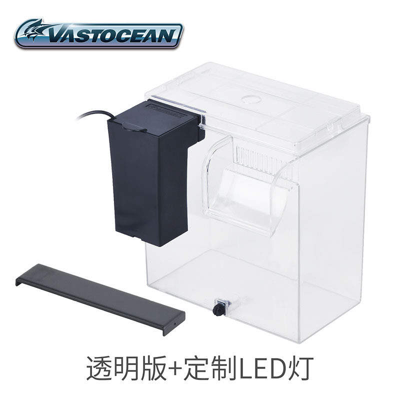 Lumière LED version transparente