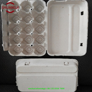 स्वत: अंडे की ट्रे उत्पादन लाइन - Product Image 5