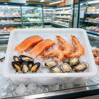 30 jaar fabriekservaring met speciale plastic ijsbakken, voedselkommen, opbergbakken voor buffetten.