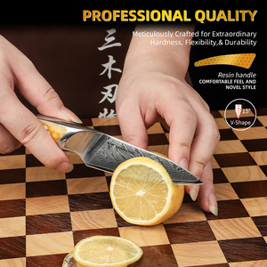 Couteau d'office en acier damas de 3.5 pouces avec manche en résine <span class=keywords><strong>éplucheur</strong></span> de fruits et légumes <span class=keywords><strong>professionnel</strong></span> pour les chefs de maison Gadget de cuisine tranchant - Product Image 6