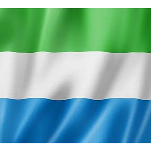 Fábrica personalizada Sierra Leona bandera 100% poliéster 3x5 pies Banners entrega rápida personalizada producto promocional para seguro automotriz - Product Image 3