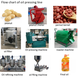 Máy Chiết Xuất Dầu Bơ Chất Lượng Cao Máy Chiết Xuất Dầu Hạt Bông Với Bộ Lọc - Product Image 4
