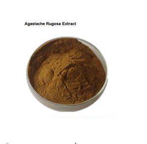 Bieyouth Supply Nature Herba Pogostemonis Poudre, Herbe de gianthyssope ridée, Extrait d'Agastache Rugosa - Product Image 1