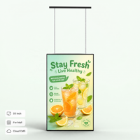 Pantalla Digital LCD de 55 Pulgadas para Interiores, de Alto Brillo (2500nits), con WiFi, CMS y SDK, para Aeropuertos, Centros Comerciales y Tiendas Minoristas
