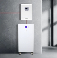 Batterie au lithium-ion pour système solaire 51,2 V 300 Ah 314 Ah 280 Ah 16 kWh – Batterie lithium pour système de stockage d'énergie solaire domestique
