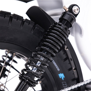 Bicicleta Eléctrica Todoterreno Vintage, Bicicleta Eléctrica Retro de 20 Pulgadas con Doble Suspensión, Bicicleta Eléctrica con Certificación UL - Product Image 6