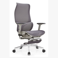 Chaise de bureau moderne en maille 2024, pivotante, ergonomique, pour la maison et le bureau, en métal et plastique, vente chaude, Foshan