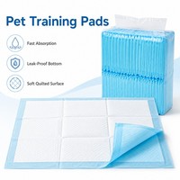 Almohadillas de Entrenamiento para Mascotas Ecológicas y Suaves, con Núcleo de SAP de Alta Retención, Protección Contra Fugas Sellada y Función de Limpieza - Venta al Por Mayor de Fábrica
