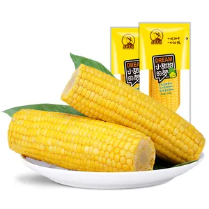 도매 달콤한 노란색 옥수수 비 GMO 찜 및 소금물 통조림 및 진공 포장