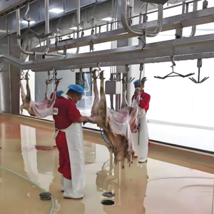 Ligne d'abattage de moutons et de chèvres entièrement automatique à haute sécurité, solution d'abattoir clé en main - Product Image 2