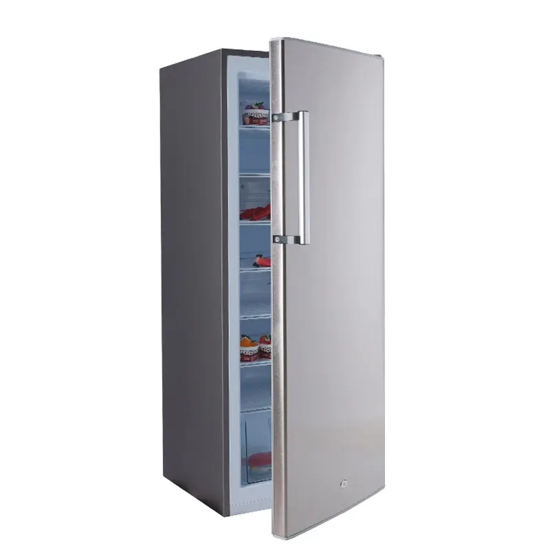 180L Smad Single Door Fast Vertical Deep Freezer Water Stand Congélateurs verticaux