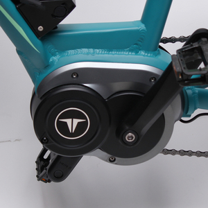 Vélo de montagne électrique à suspension intégrale TXED E Power Pro X8M Plus 27,5 pouces, 9 vitesses, moteur central sans balais 250W, cadre en alliage, freinage hydraulique - Product Image 6