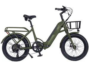 Tianjin factory OEM 20" tire electric bike 500w motor foldable e-bike for adult