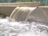 Lame d'eau en cascade murale en acier inoxydable de 30 à 150 cm avec lumières LED pour piscine