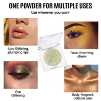 Palette de Maquillage Illuminateur Scintillant Végane Cruelty-Free de Haute Qualité, Logo Personnalisé, pour Visage et Corps Éclatants, Vente en Gros