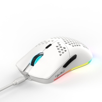 HXSJ T66 blanc 3 modes 650mAh rechargeable 6 boutons programmable souris de jeu lumineuse RVB sans fil en nid d'abeille pour ordinateur portable