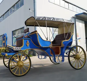 Chariot de tourisme à cheval dessiné/landau de mariage luxueux pour église