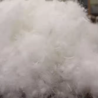 Vente en gros de duvet d'oie blanche super doux 90% lavé à vendre duvet d'oie en vrac