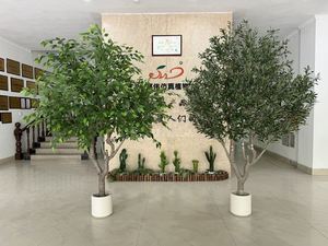 Arbre ficus banian artificiel d'intérieur et d'extérieur personnalisé en gros, olivier vert, grande taille, décoration de Pâques en plastique - Product Image 3