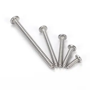 Stainless Steel SS304 316 Phillips Pan Head Self Tapping Screws for Metal