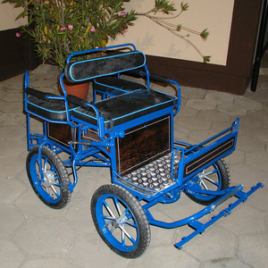 Carroza para Caballos de Maratón 2026, Carroza para Turismo con Caballos de Tracción - Product Image 5